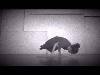 T gagarin turtle collection