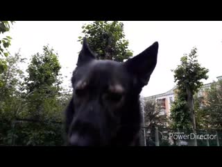 Сема goodgirl hd 720p mp4