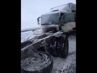 Возле елабуги