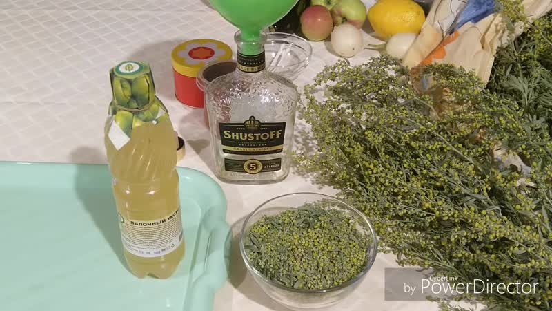 [галкин сад] полынь великая!!!!лечение полынью убивает всю простейшую инфекцию в организме!!и гонит паразитов!!!