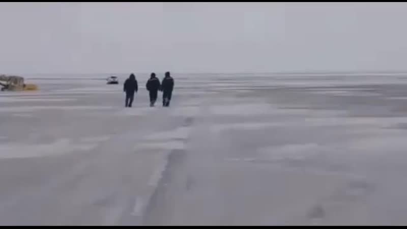 Миссия спасения провалилась😂