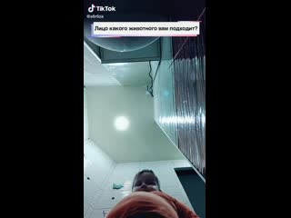 Девочки и тик ток лицо какова молодые вам подходит