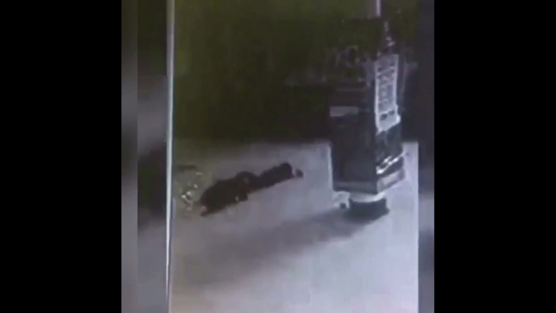 Решил сесть на перила и упал 18+