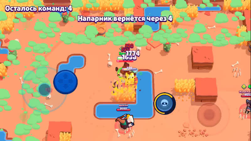 Апаю ворона на 300 кубков