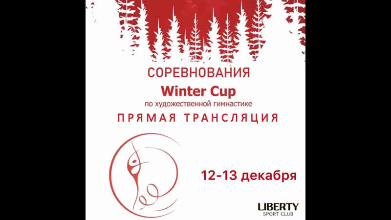Открытые соревнования по художественной гимнастике «winter cup»