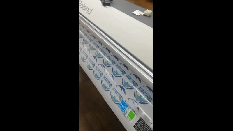 Печать наклеек и стикеров