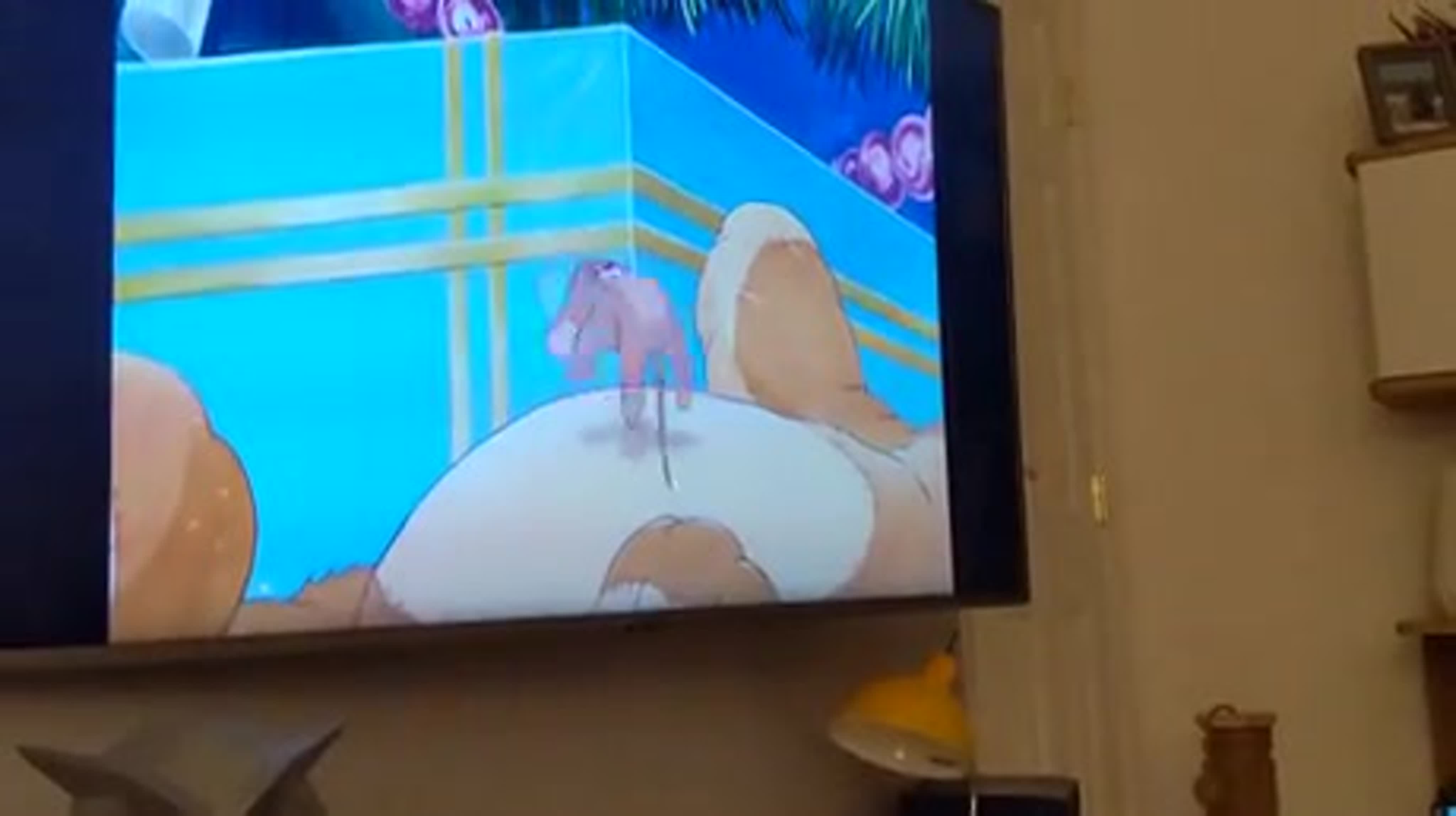 Cat watching tom and jerry watch online