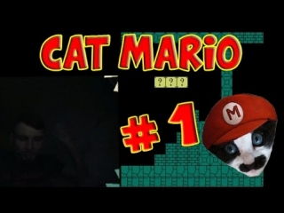 Cat mario я спокоен # 1