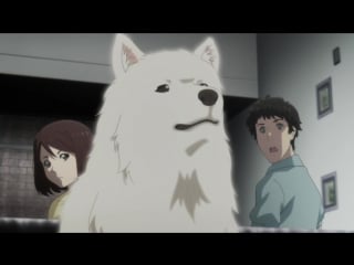 [dark demon & grandina] сакурако на костях / sakurako san no ashimoto ni wa shitai ga umatteiru 05