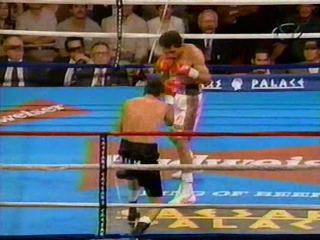 Oscar de la hoya vs genaro hernandez (09 09 1995)