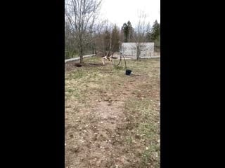 Толян и лиза