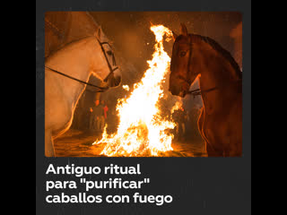 Caballos saltan sobre hogueras en un ritual anual español