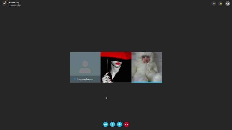 Джоник македонский берёзкин вывел