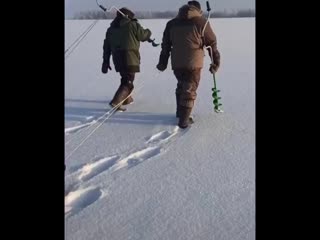 Краткость сестра таланта😂