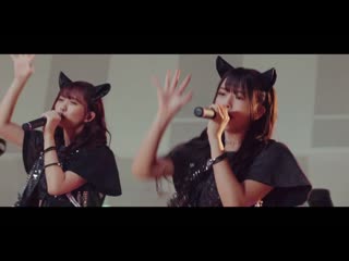Wasuta saijoukyuu paradox (studio live )
