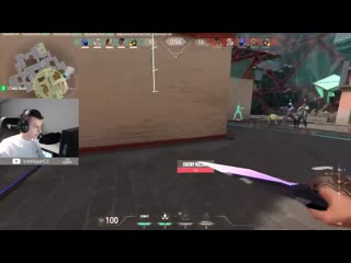 Omen smoke bug with sage textures