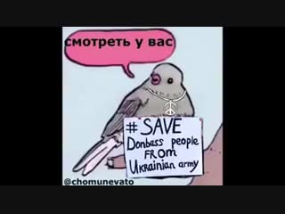 Annoyed bird ukraine