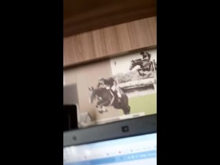 Alis io скины live