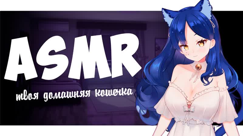 Асмр твоя домашняя кошечка снежа 💙