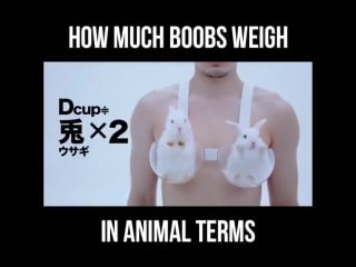 How much boobs weigh in porn terms