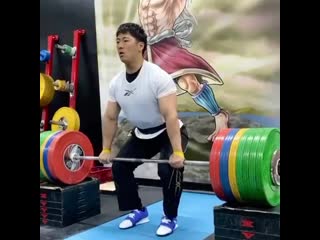 Toshiki yamamoto на грудь 230