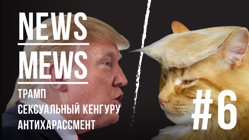 News mews #6 трамп, сексуальный кенгуру, антихарассмент