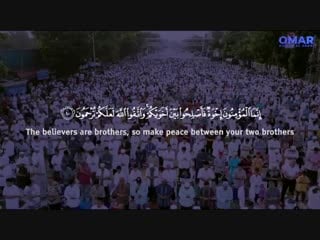 Surah al hujurat omar hisham سورة الحجرات عمر