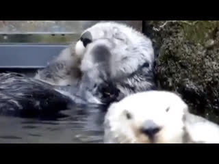 Club strannik massage