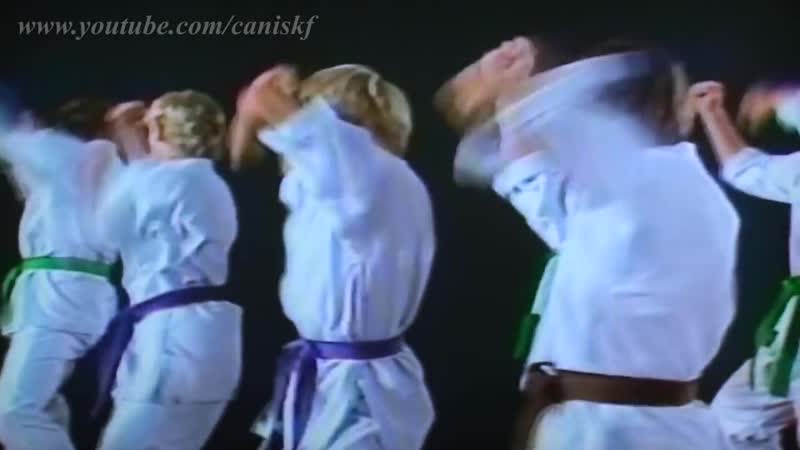 Heian nidan nakayama and osaka sensei