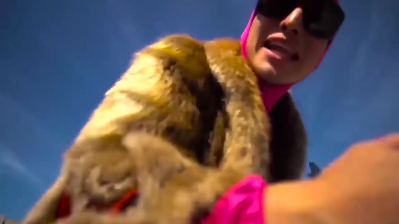 Филти френк vs peta