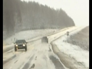 Особливий погляд голодомор як військова операція (2009)