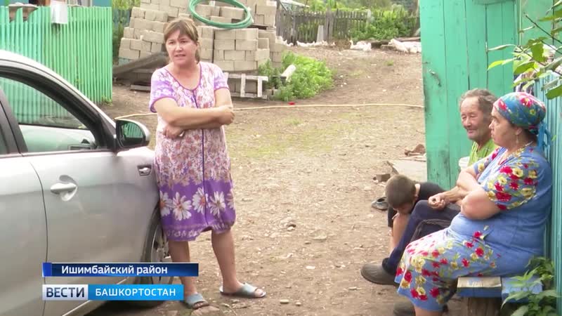 Спорная тёлка в башкирии соседи поругались из за теленка |