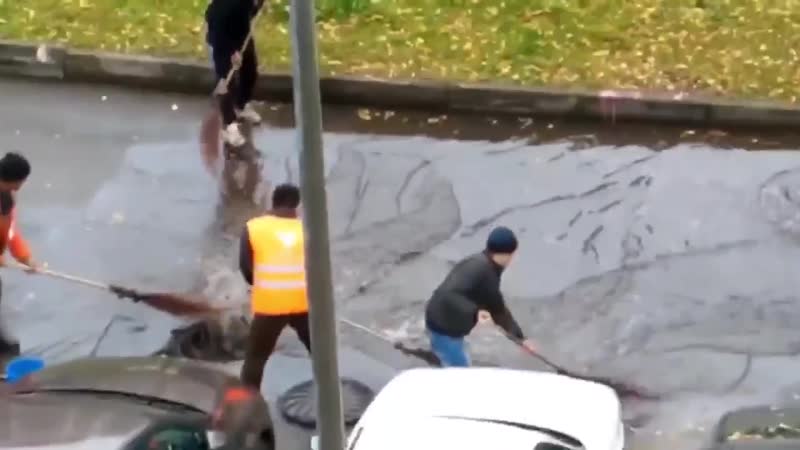 Инновации в столичном жкх