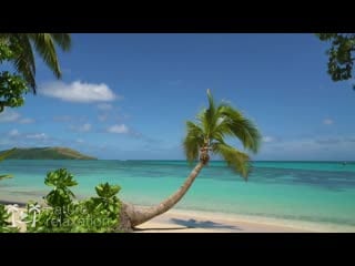 “blue lagoon vista” 4k 2 hour nature scene tropical beach, palm tree, blue sky