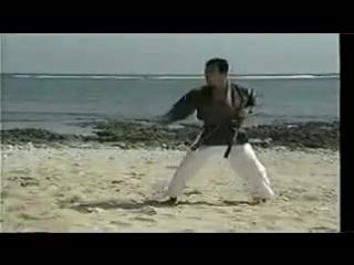 Sensei shimpo matayoshi kobudo