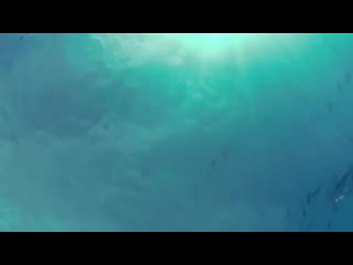 Lord vishnu | most peaceful mantra ever(360p) mp4