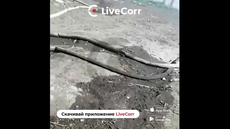11 домов сгорели под самарой