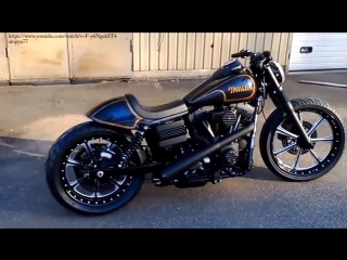 Harley davidson sportster customs