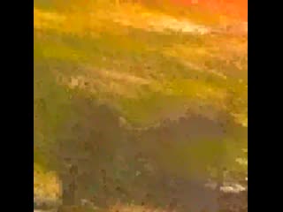 Gibraltar is coming for you