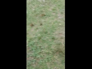 Vid 20200713 164853 mp4