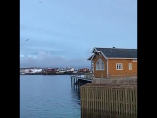 My job in lofoten started with a lovely fish soup for lunch in sakrisøy ;)