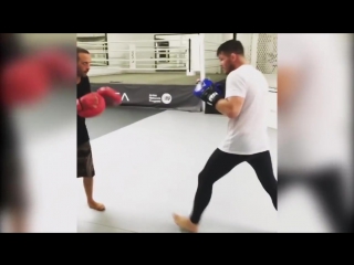 Michael bisping training 2017 for gsp