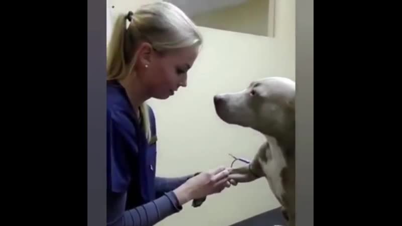 She is braver than many humans! took it like a champ