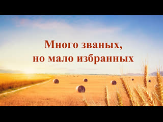 «много званых, но мало избранных»