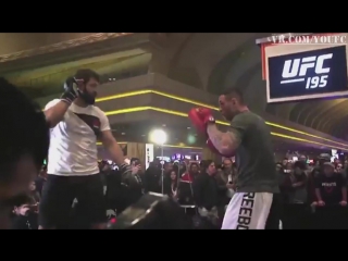 Ufc 195 andrei arlovski open workout highlight