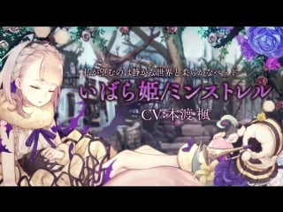 Sinoalice briar rose / minstrel pv