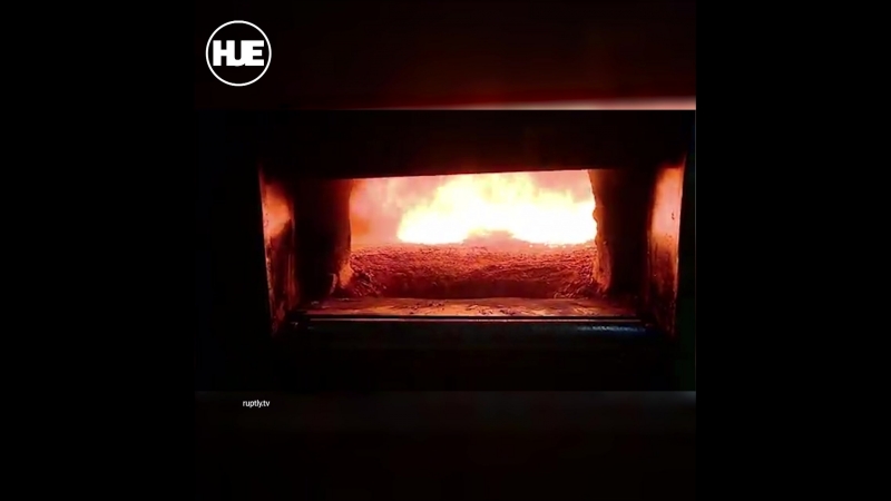 В аргентине сожгли 400 кг кокаина из посольства рф