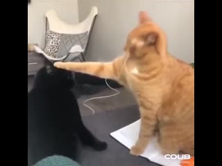 New knight has risen!