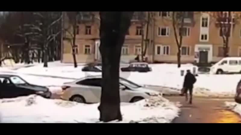 Судьба пешехода