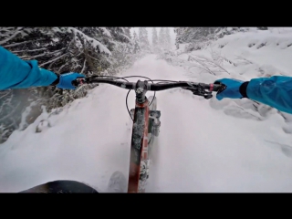 На велосипеде в заснеженном лесу